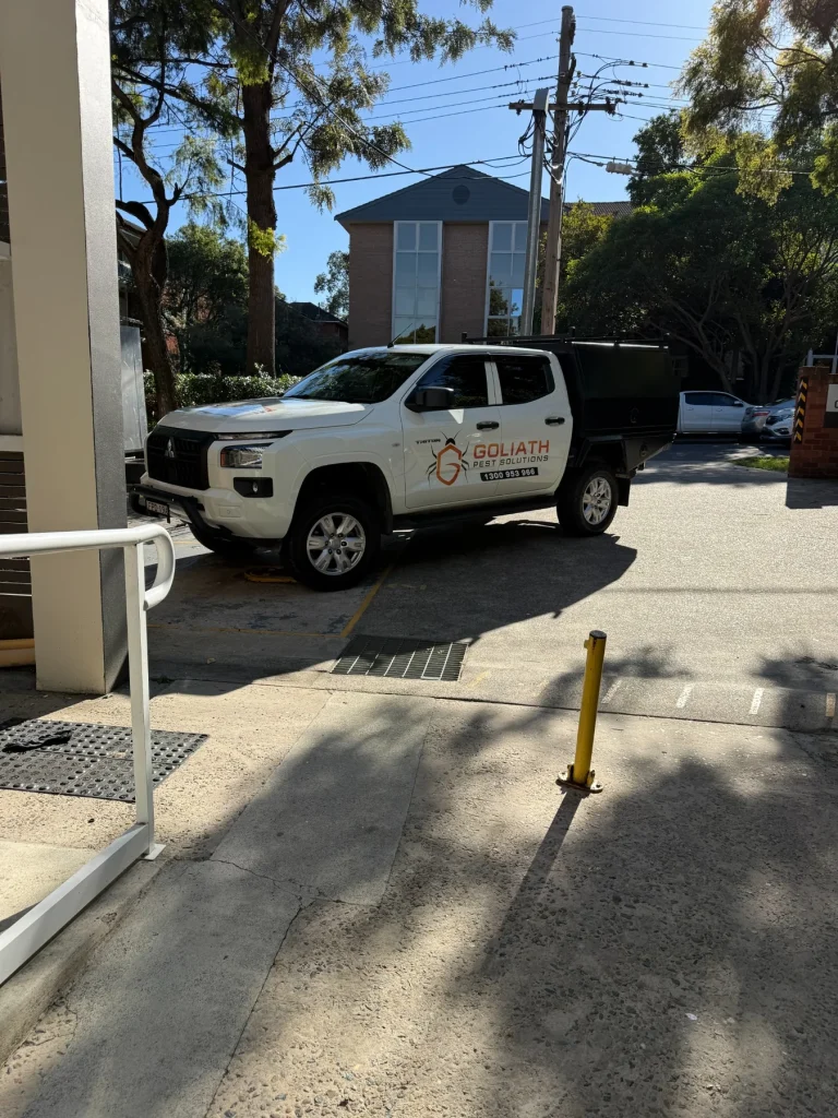 Branded Goliath Pest Solutions ute outside a residential property