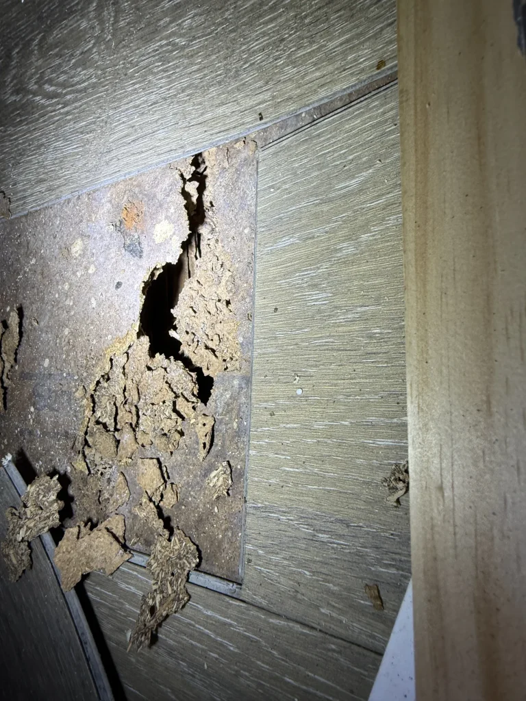 Damaged wall lining and exposed material visible through an interior opening