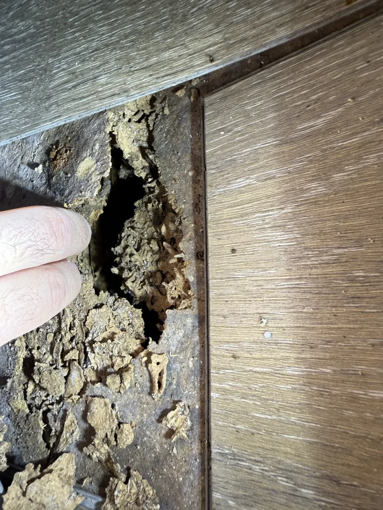 Close-up of crumbling material exposed beside a timber wall lining