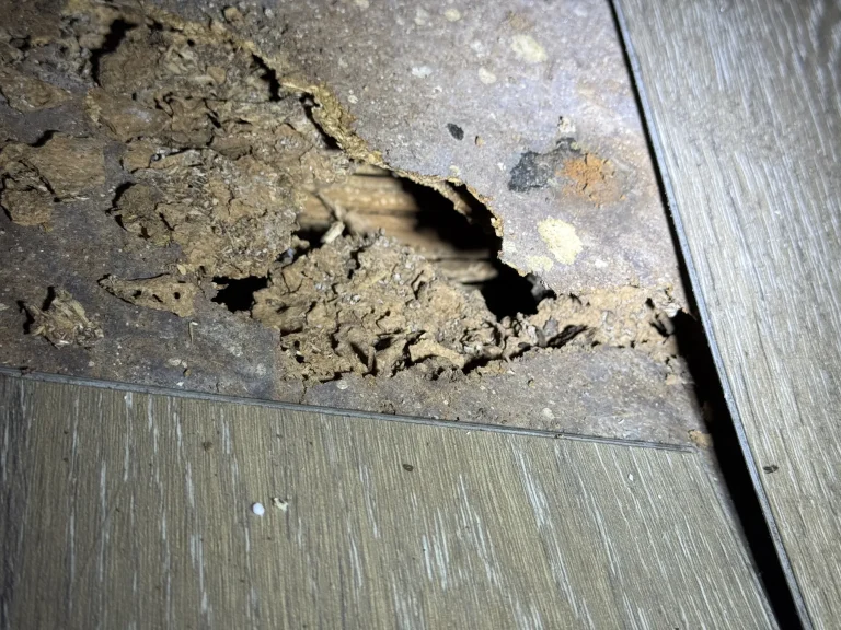 Exposed damaged material and void in a floor or wall lining