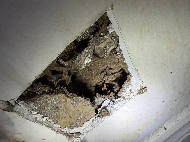 Opening in a plaster wall revealing damaged internal material