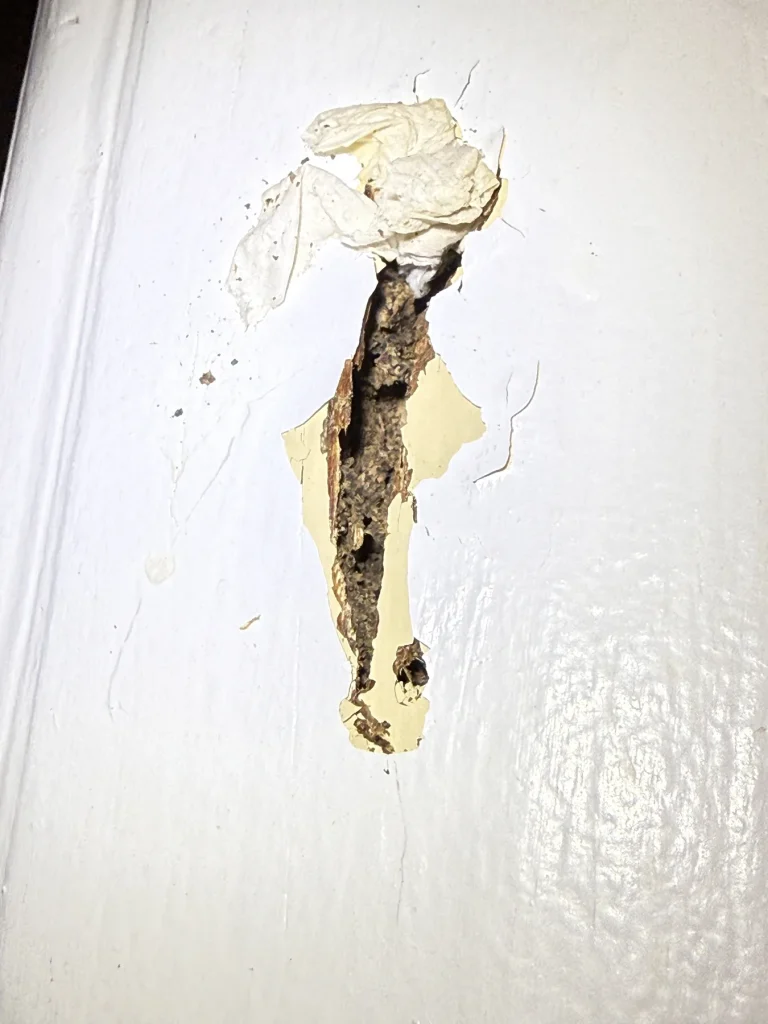 Narrow opening in a painted wall exposing internal material