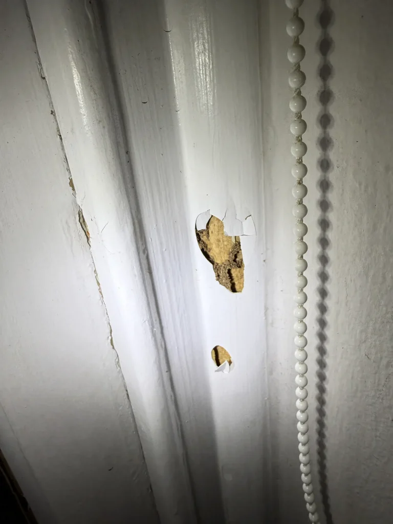 Small mark or damaged area near a white interior door frame