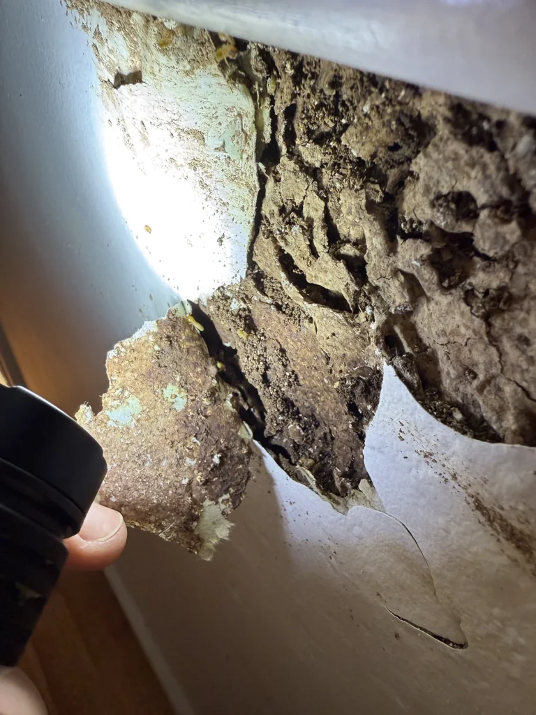 Gloved hand holding loose damaged material from an interior cavity