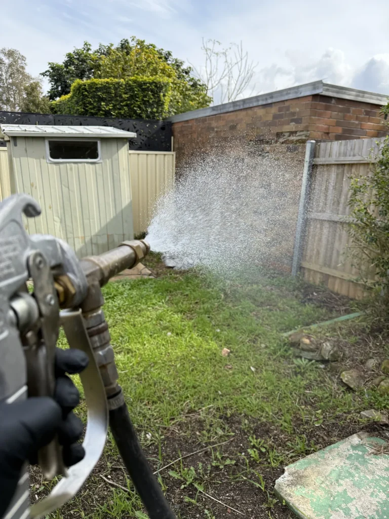 Pest treatment spray directed across a landscaped backyard