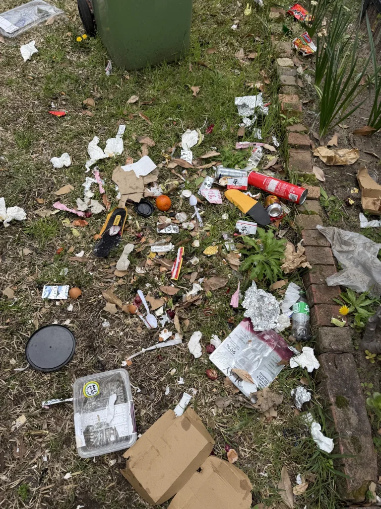 Rubbish and loose debris observed in an outdoor garden area