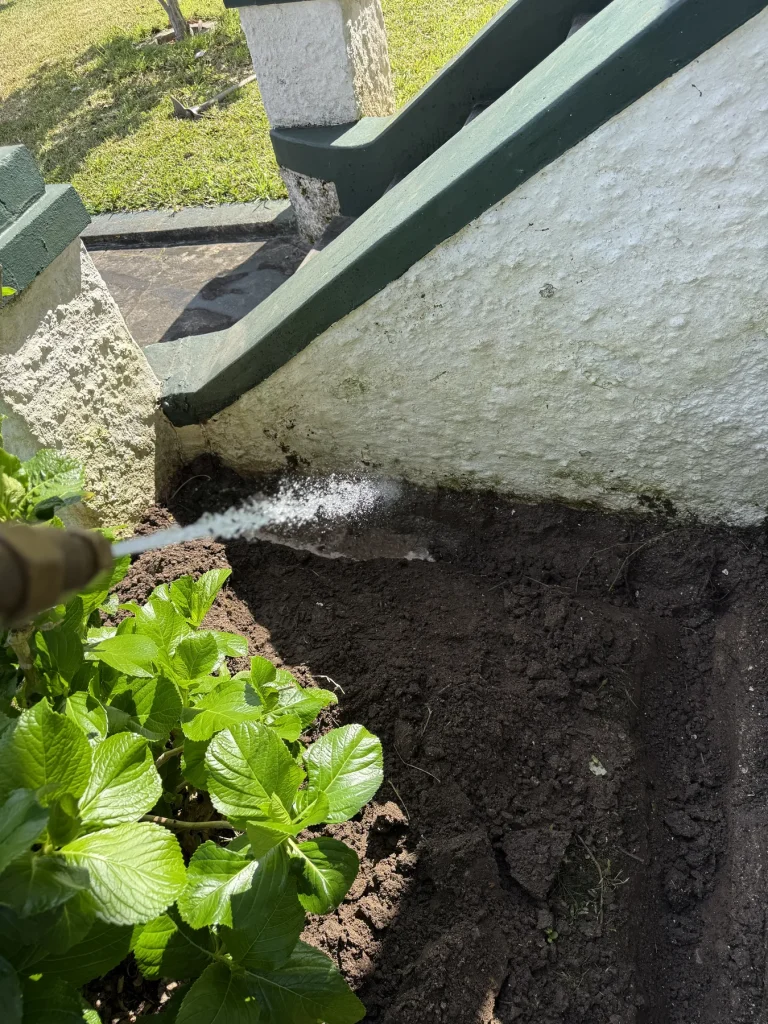 Treatment lance aimed toward soil at an external building corner