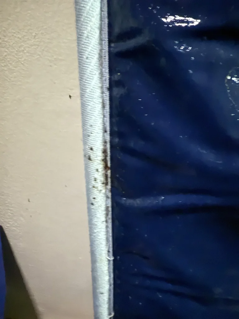 Close-up of insect traces along a mattress edge