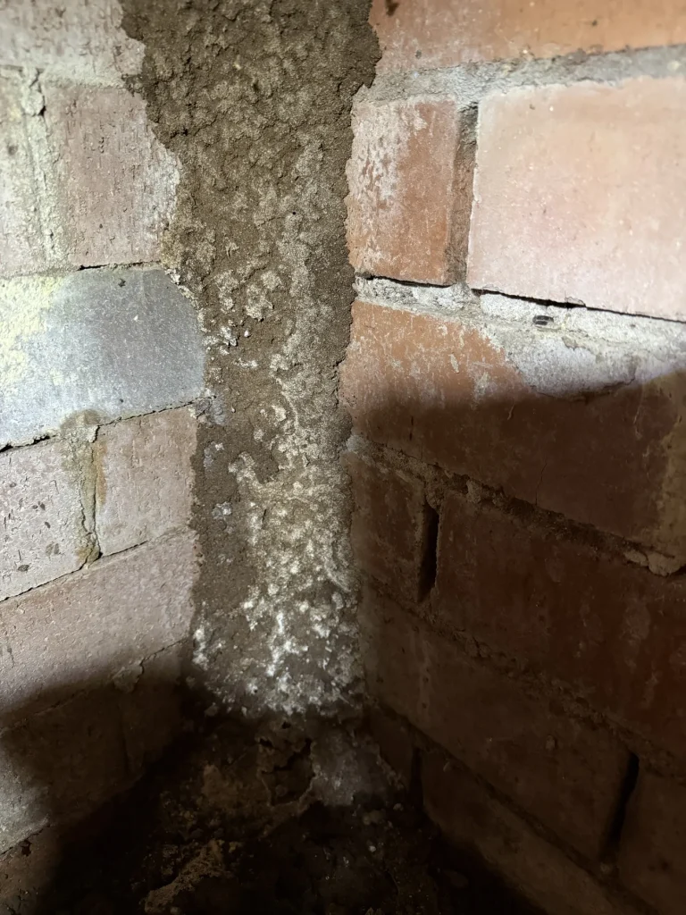 Vertical earthen trail running down a brick foundation wall