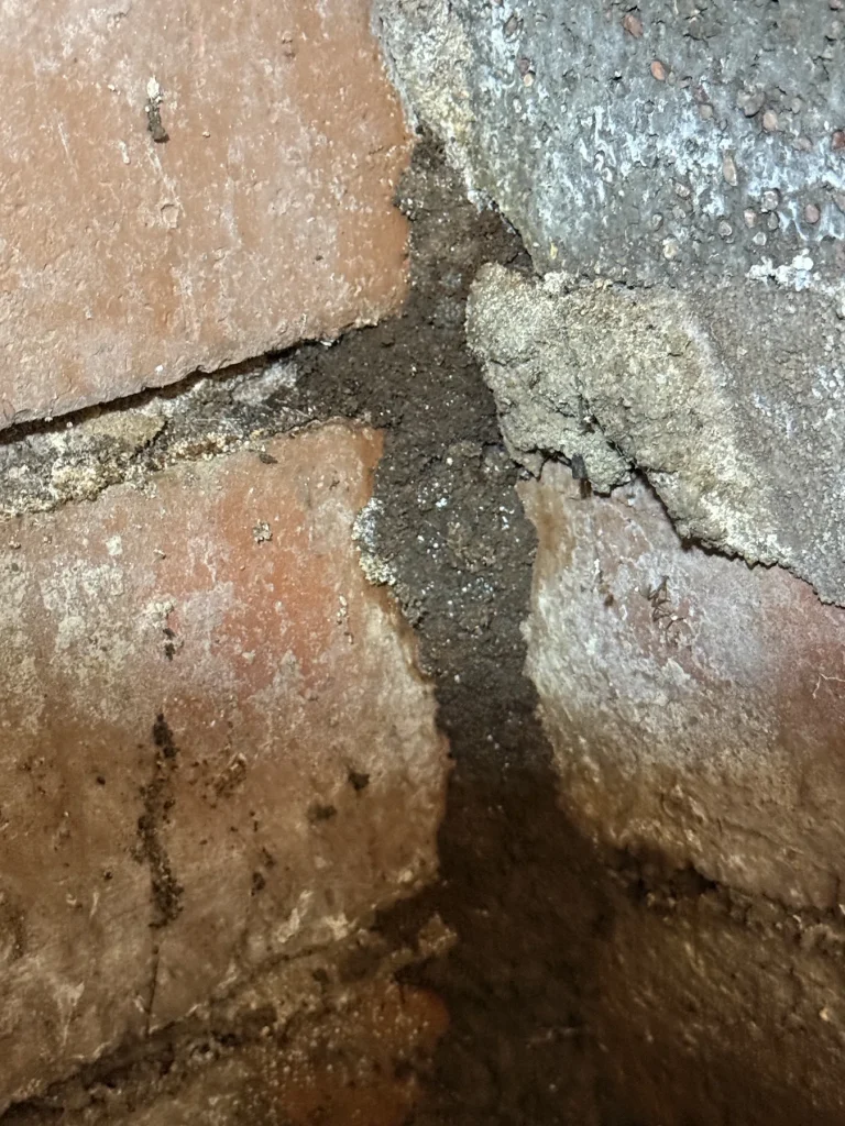 Close-up of earthen trail and cracked mortar on brickwork