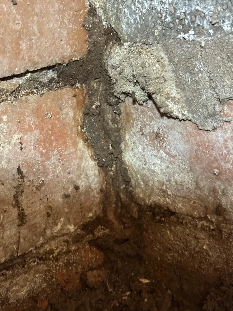 Earthen material bridging a brick joint near a wall corner