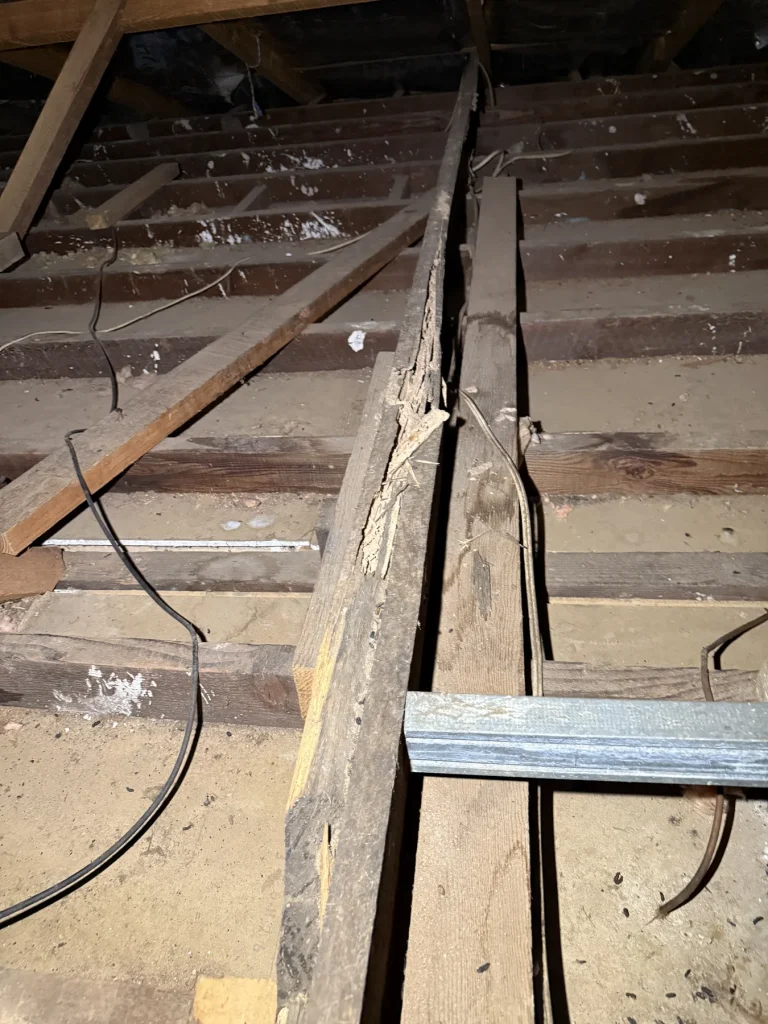 Long split and deterioration visible in roof or subfloor timber