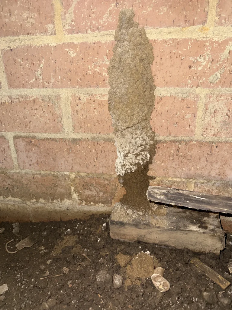 Earthen trail rising from subfloor soil to a brick wall junction
