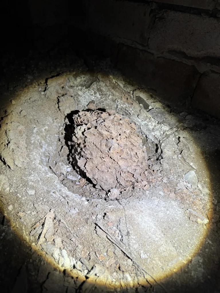 Circular disturbed patch found during an inspection of roof insulation