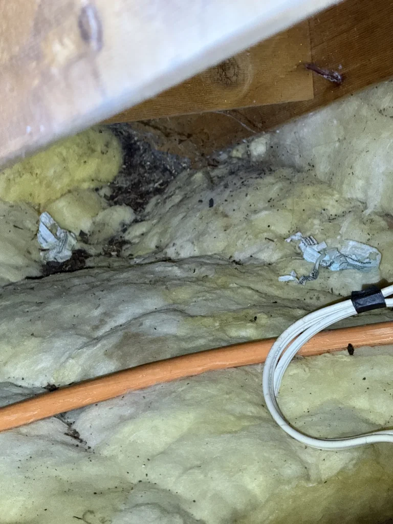 Roof insulation and cable inspected below a timber roof frame