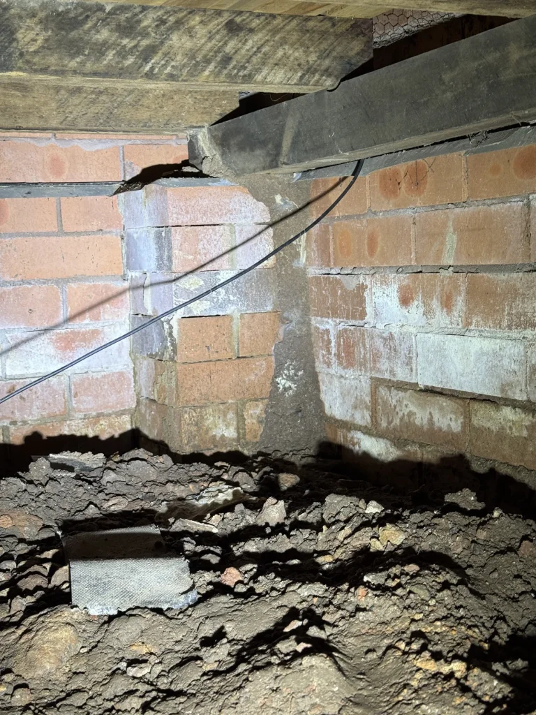 Low subfloor showing pier footings and suspended timber framing