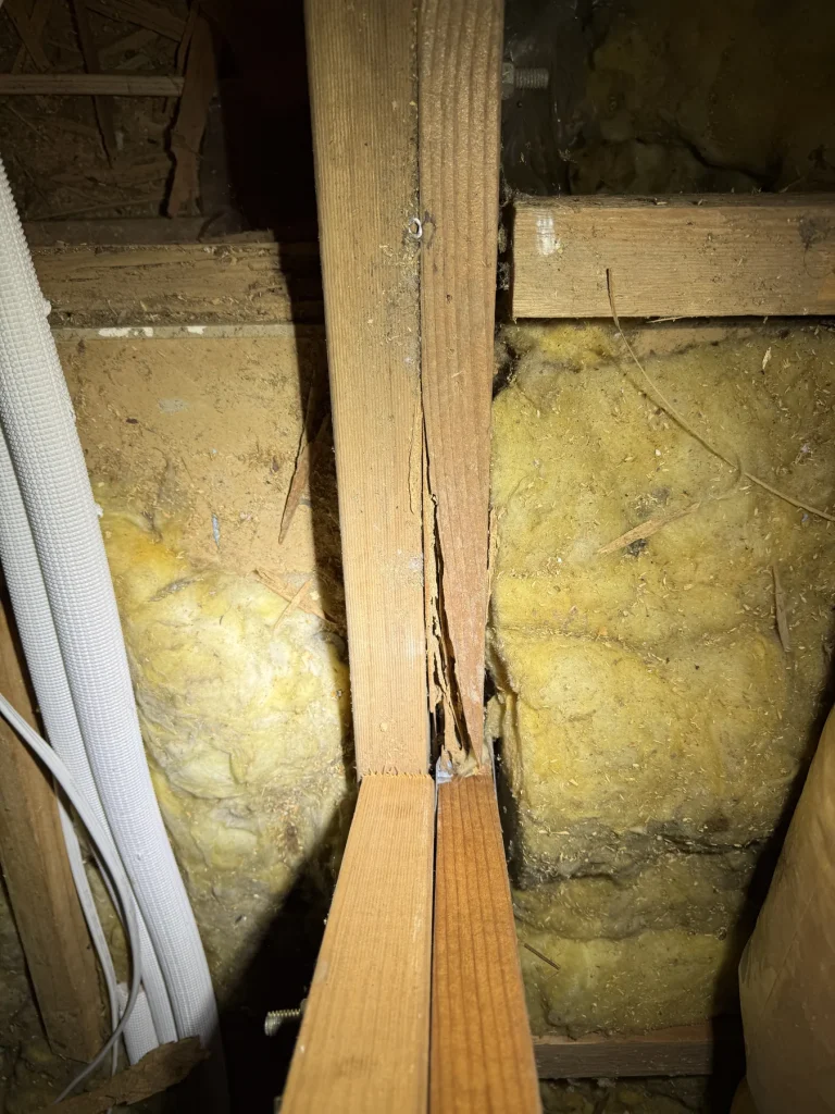 Close-up of damaged timber inside roof or wall framing