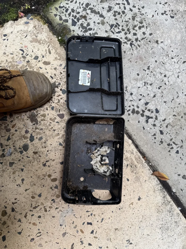 Two open black pest stations beside a pavement inspection point