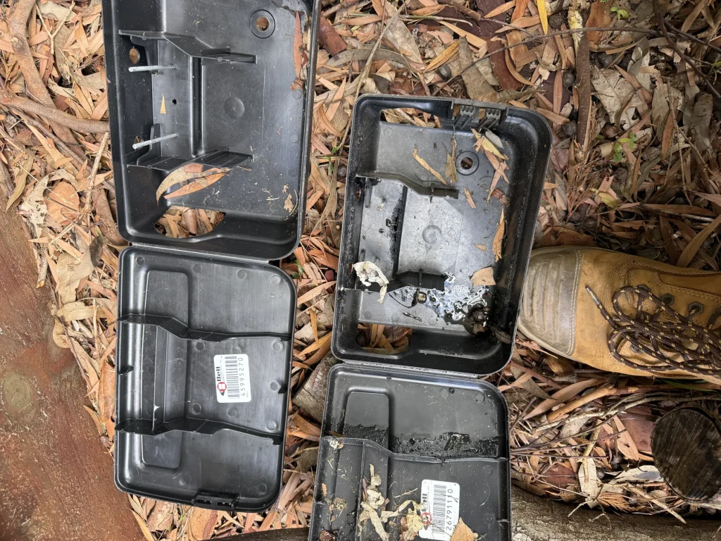 Four opened black pest monitoring boxes on outdoor ground