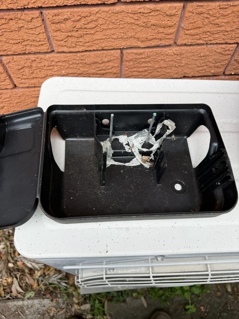 Opened black pest monitoring box positioned near an exterior brick wall