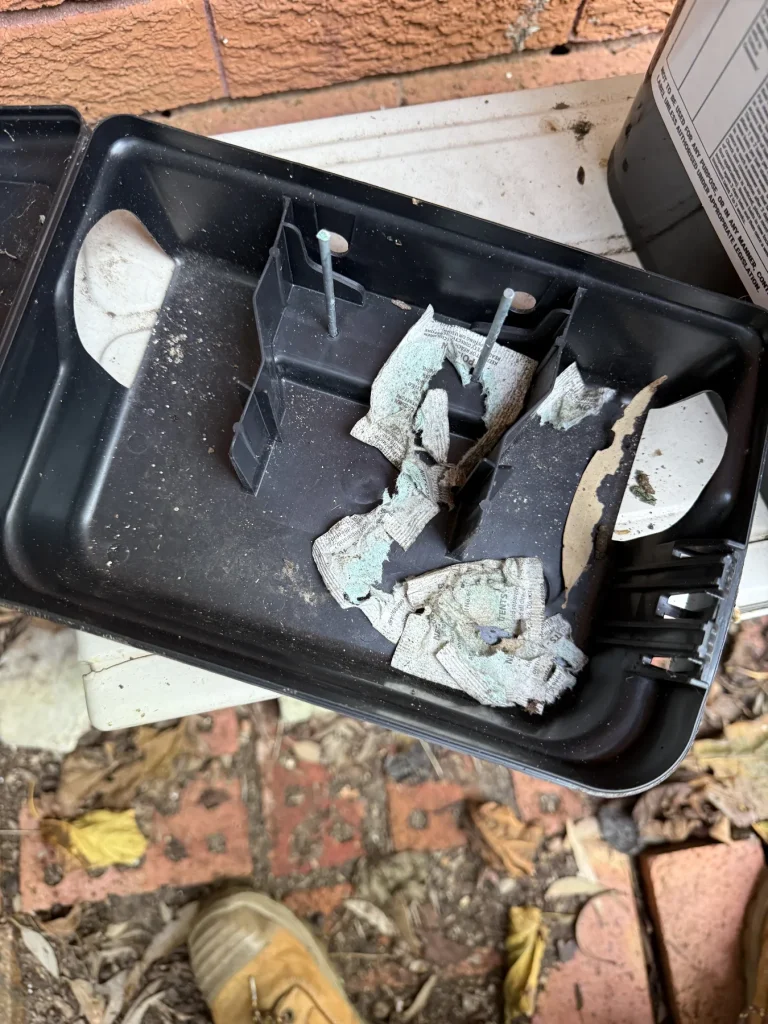Open pest monitoring container showing debris and bait components