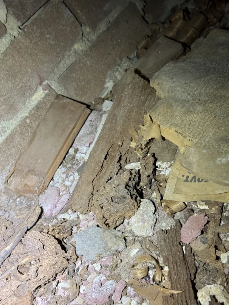 Timber fragments and rubble on a dusty subfloor surface