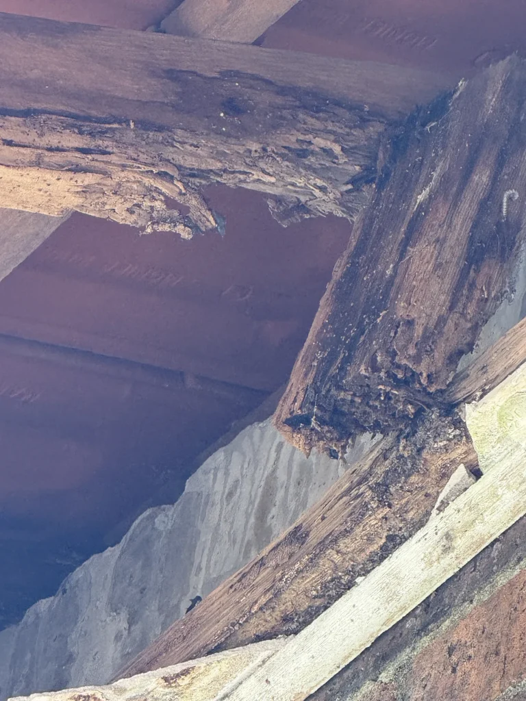Darkened damaged timber and boards in a concealed cavity