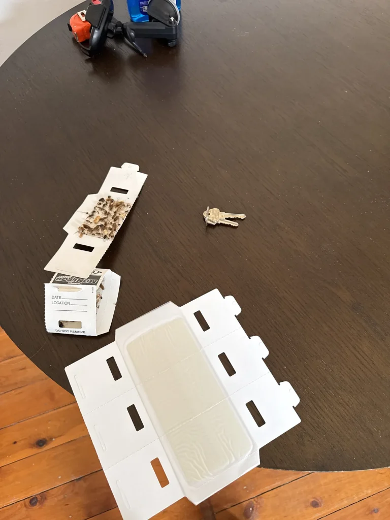 White pest control station parts laid out on a timber floor