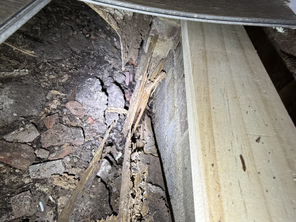 Exposed timber and rubble alongside a concrete footing in a subfloor