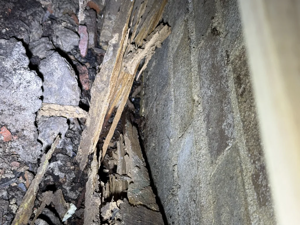 Close-up of damaged timber beside a subfloor concrete edge