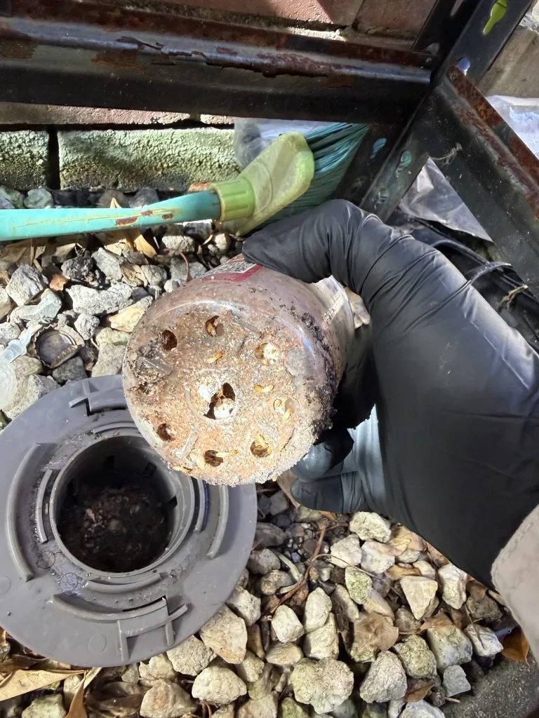 Technician holding a removed circular fitting or sample near a pest station