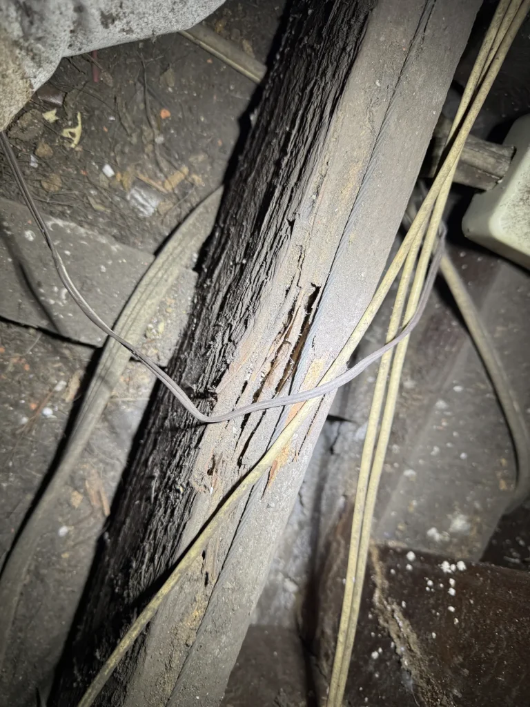 Exposed timber with visible deterioration along a structural member