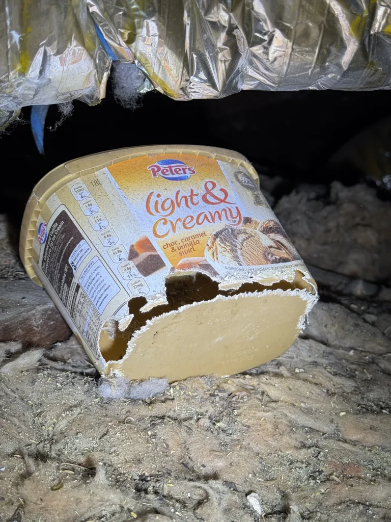 Open food container or discarded packaging found in a roof cavity