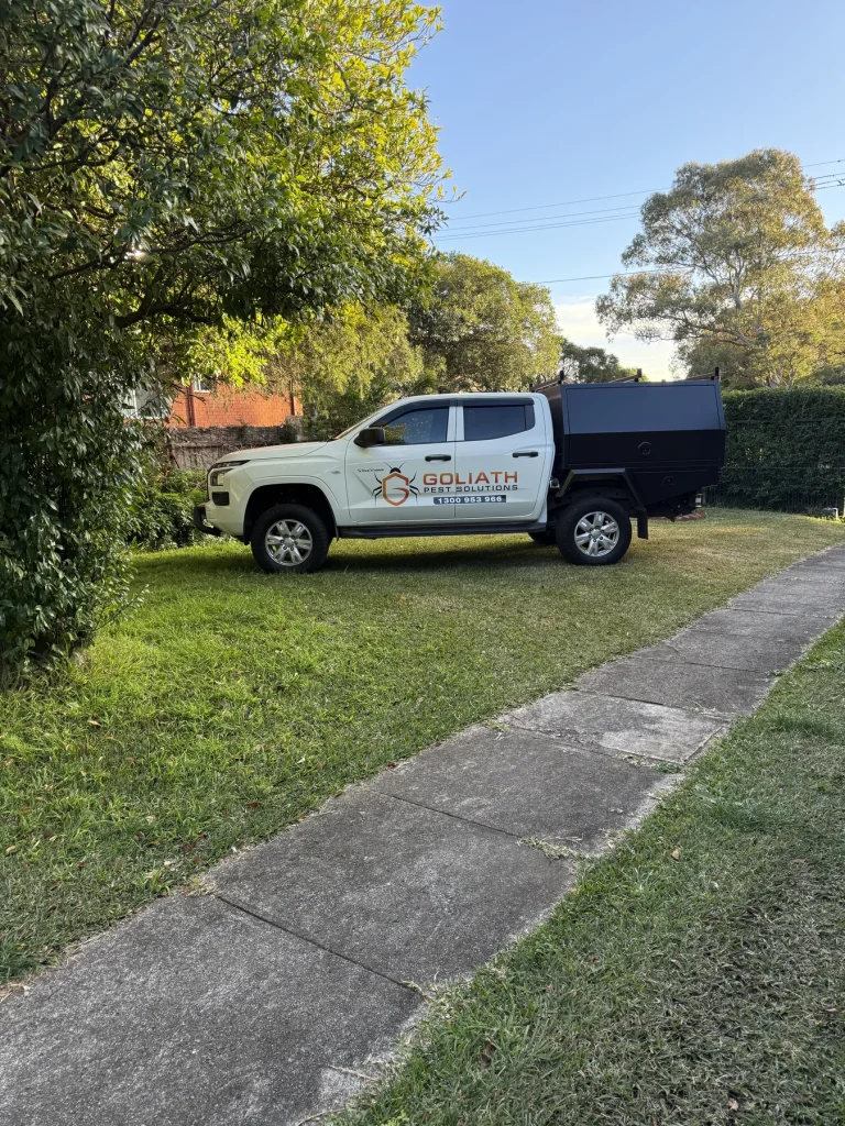 Goliath Pest Solutions service vehicle at a Sydney residential property