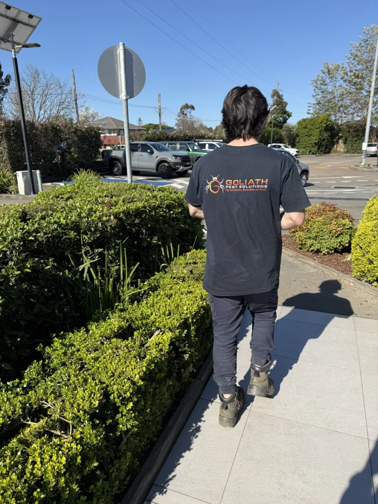 Goliath Pest Solutions technician attending a local pest-control service