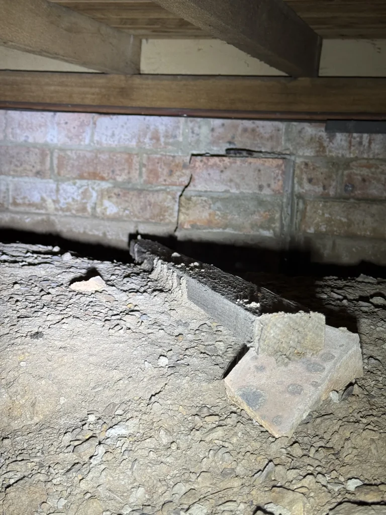Brick foundation and subfloor junction inspected for termite risk