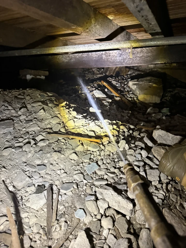Subfloor structural conditions examined during termite inspection