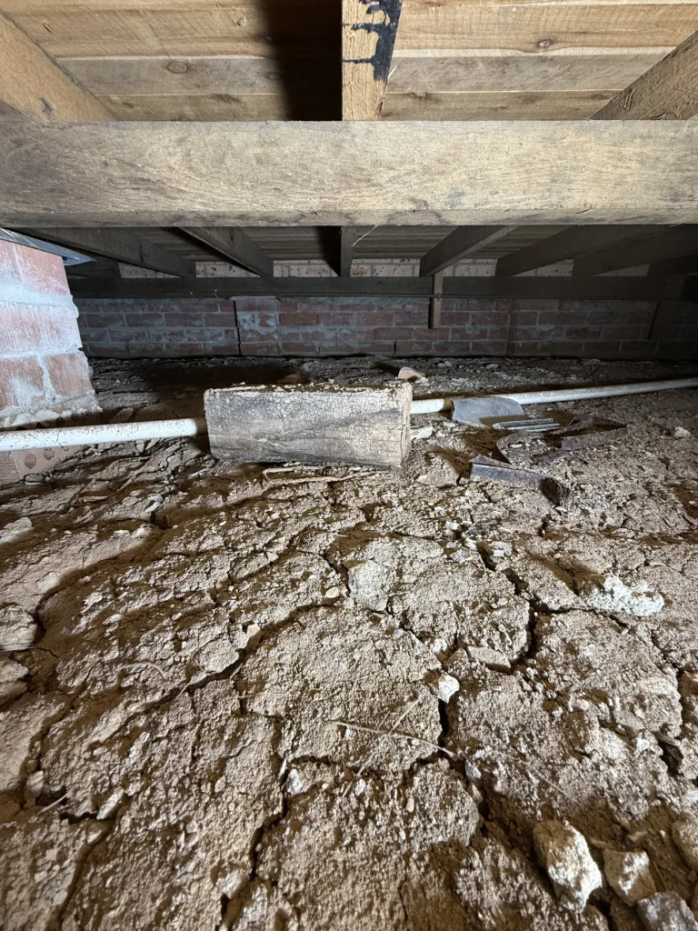 Subfloor conditions and debris assessed during a termite inspection