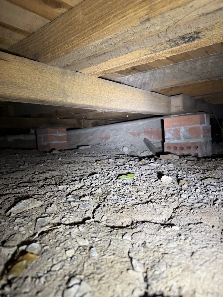 Subfloor soil and structural conditions assessed for termite risk