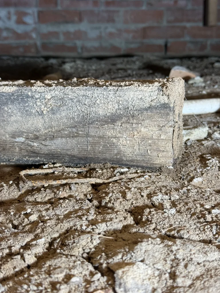 Subfloor timber and soil conditions associated with termite risk