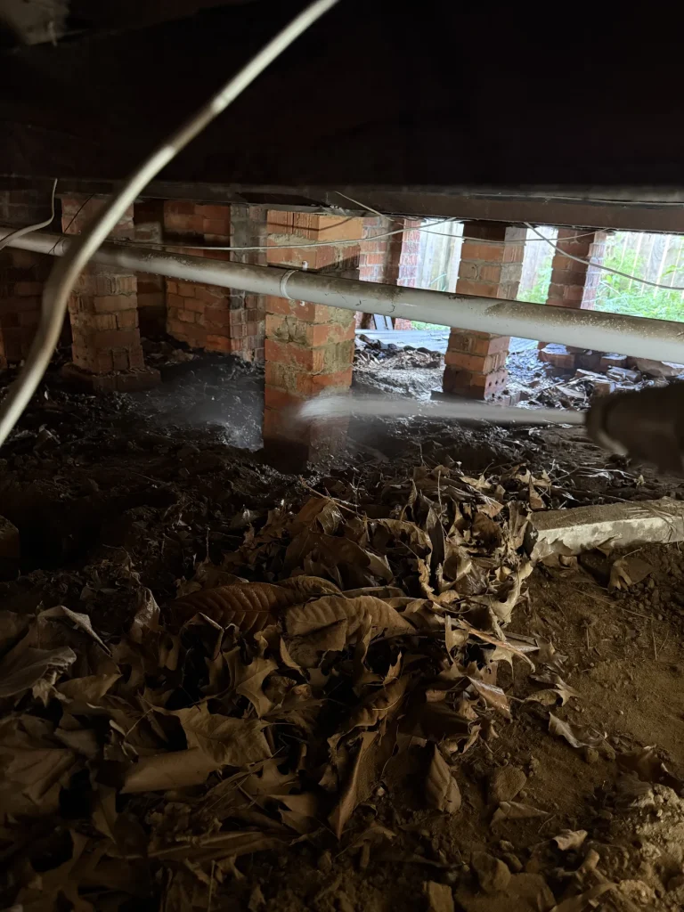 Subfloor treatment area with organic debris around foundations