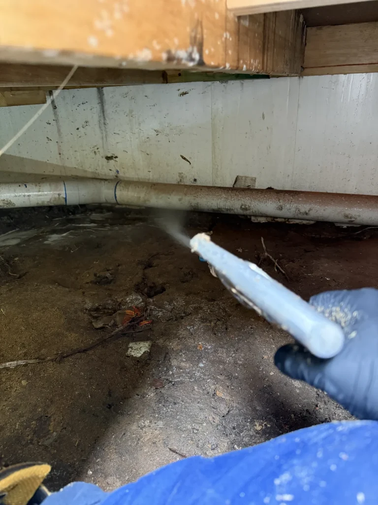 Pest-control treatment around pipework within a residential subfloor