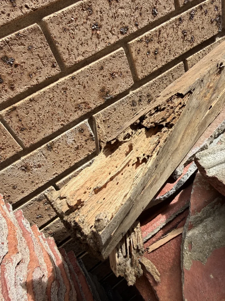 Termite damage exposed beside brickwork at a structural junction