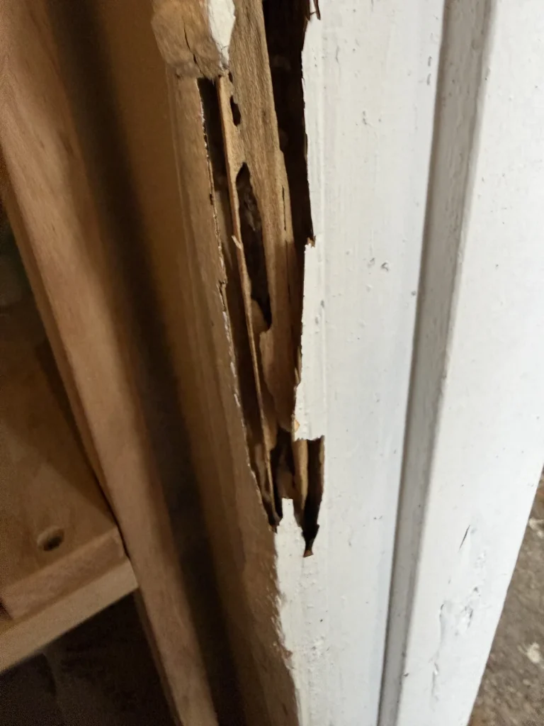 Additional termite damage visible within a door jamb
