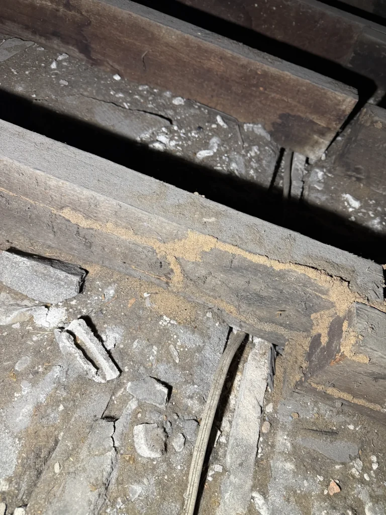 Close-up of timber affected by termite damage
