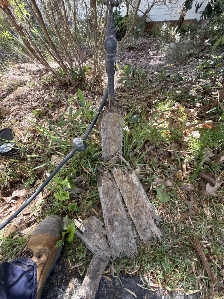 Termite damage found in landscaping timber around a property