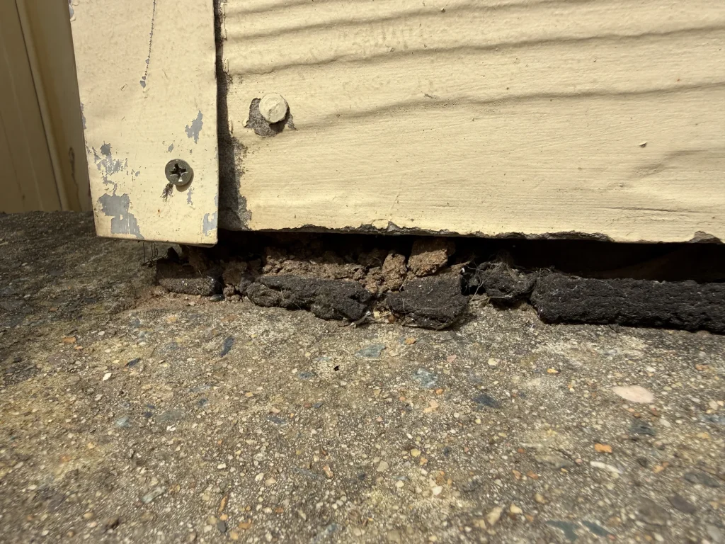 Termite mud material visible at an external wall junction